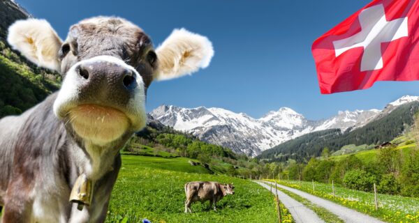 Schweiz beliebtestes Auswanderungsziel